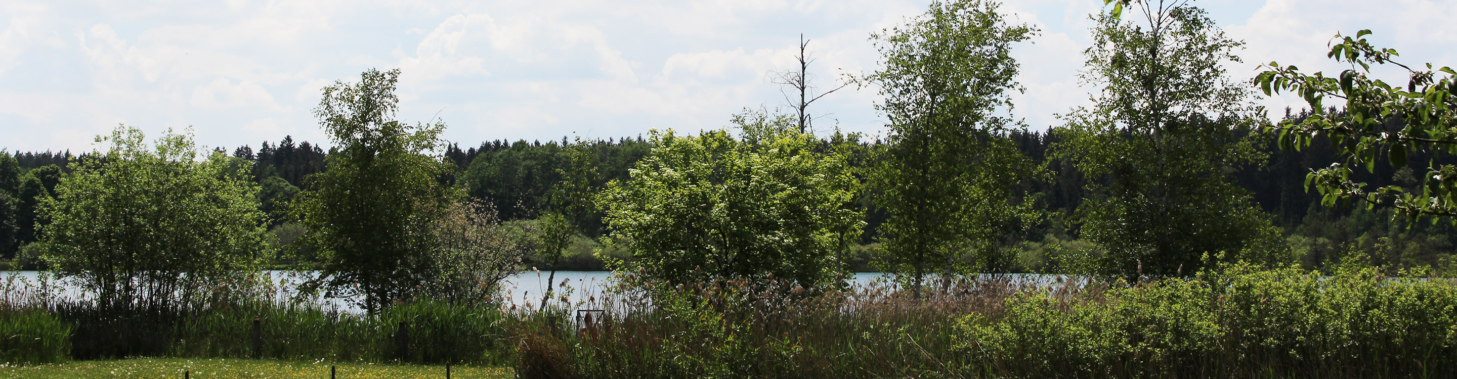 Fleischverkauf am Kastensee